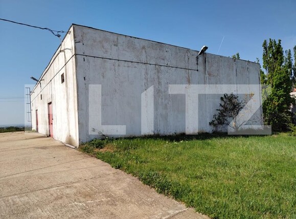 Spațiu industrial de vânzare Oncea - 139310SVI | BLITZ Oradea | Poza7