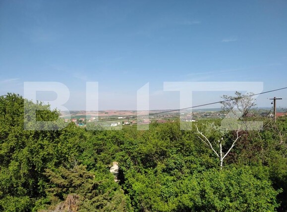 Spațiu industrial de vânzare Oncea - 139310SVI | BLITZ Oradea | Poza12