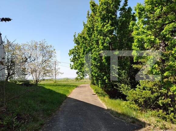 Spațiu industrial de vânzare Oncea - 139310SVI | BLITZ Oradea | Poza13