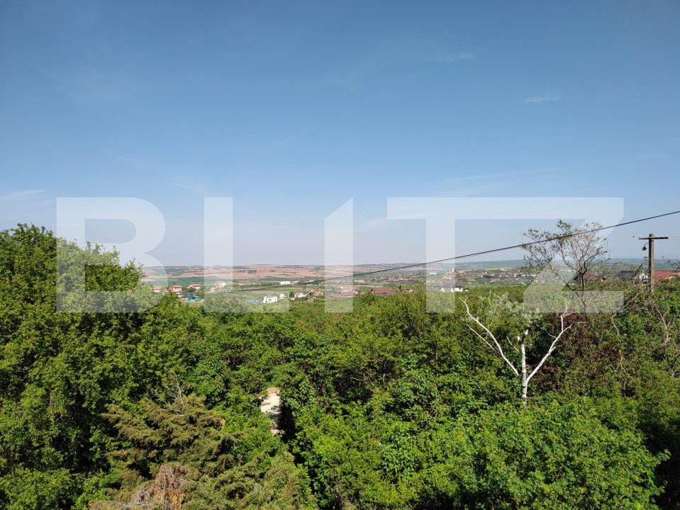 Spațiu industrial de vânzare Oncea - 139310SVI | BLITZ Oradea | Poza12