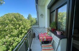 Apartament cu 2 camere în zona Dacia - O oază de confort și liniște