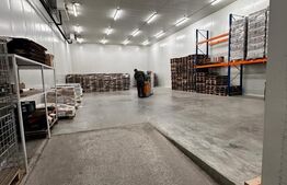  Investiție: Hală Industrială cu Chiriași 