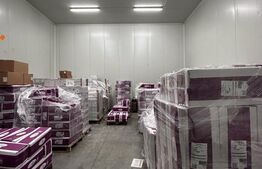  Investiție: Hală Industrială cu Chiriași 