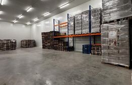  Investiție: Hală Industrială cu Chiriași 