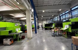  Investiție: Hală Industrială cu Chiriași 