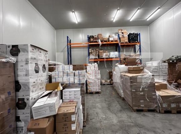 Spațiu industrial de vânzare Nufarul - 140927SVI | BLITZ Oradea | Poza12