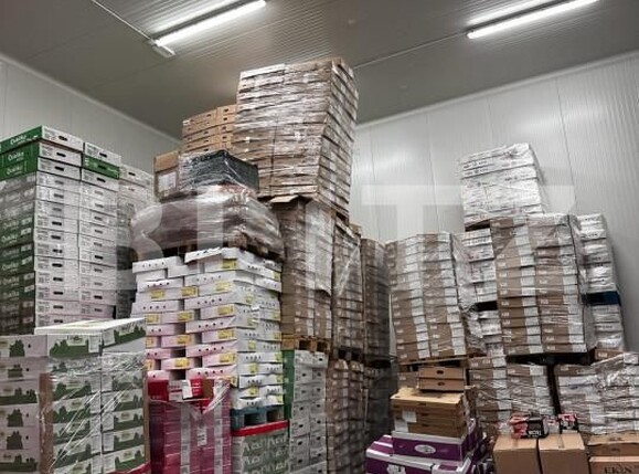 Spațiu industrial de vânzare Nufarul - 140927SVI | BLITZ Oradea | Poza17