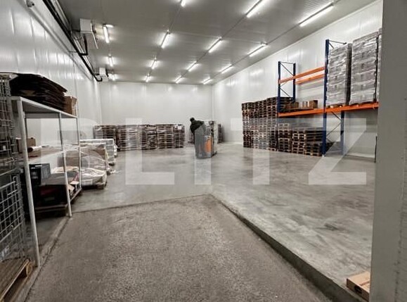 Spațiu industrial de vânzare Nufarul - 140927SVI | BLITZ Oradea | Poza9