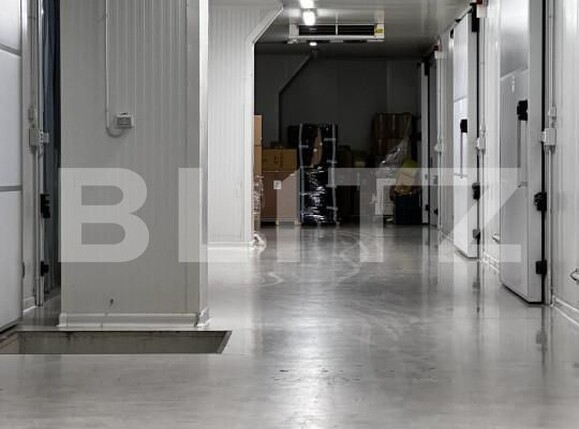 Spațiu industrial de vânzare Nufarul - 140927SVI | BLITZ Oradea | Poza16