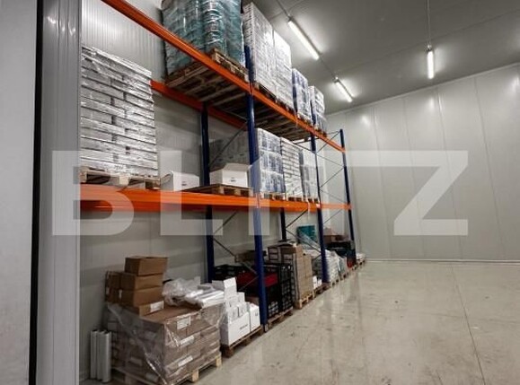 Spațiu industrial de vânzare Nufarul - 140927SVI | BLITZ Oradea | Poza14