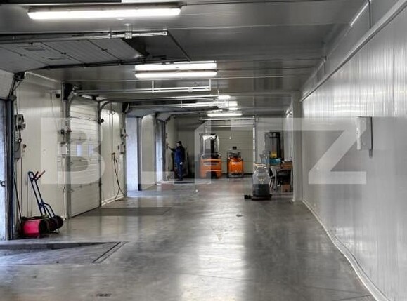 Spațiu industrial de vânzare Nufarul - 140927SVI | BLITZ Oradea | Poza1