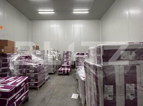 Spațiu industrial de vânzare Nufarul - 140927SVI | BLITZ Oradea | Poza18