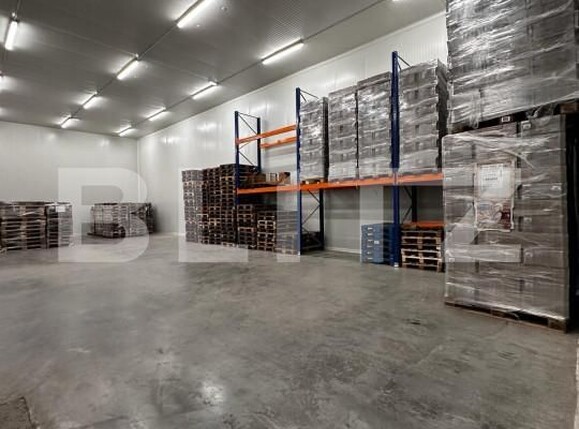 Spațiu industrial de vânzare Nufarul - 140927SVI | BLITZ Oradea | Poza5