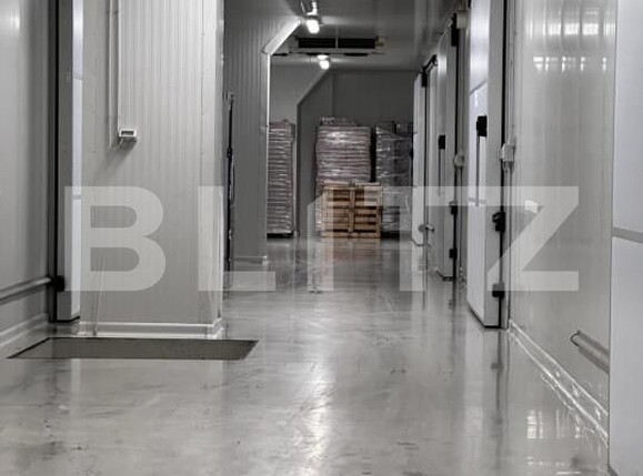 Spațiu industrial de vânzare Nufarul - 140927SVI | BLITZ Oradea | Poza10