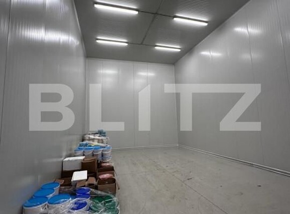 Spațiu industrial de vânzare Nufarul - 140927SVI | BLITZ Oradea | Poza11