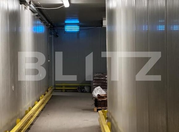 Spațiu industrial de vânzare Nufarul - 140927SVI | BLITZ Oradea | Poza3