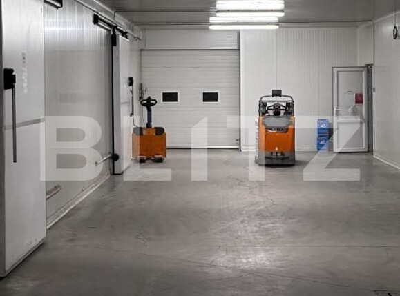 Spațiu industrial de vânzare Nufarul - 140927SVI | BLITZ Oradea | Poza4