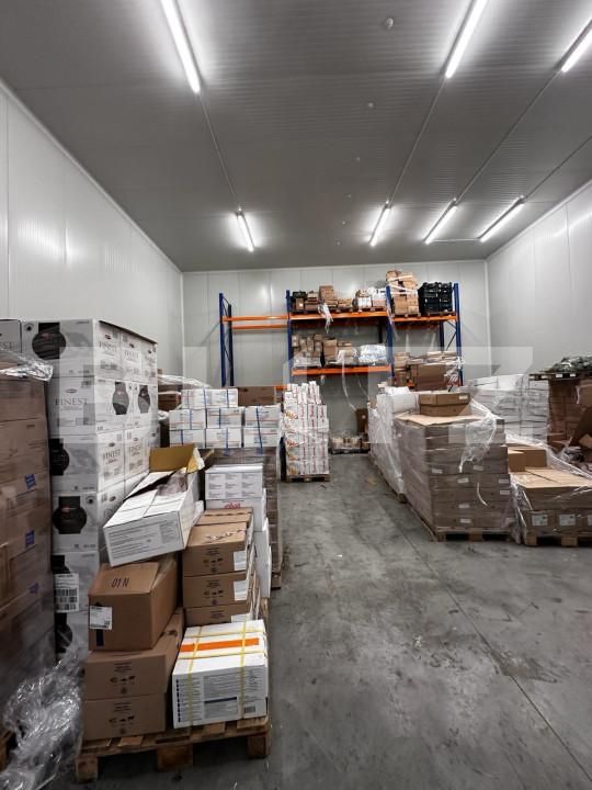 Spațiu industrial de vânzare Nufarul - 140927SVI | BLITZ Oradea | Poza12