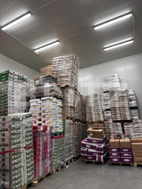 Spațiu industrial de vânzare Nufarul - 140927SVI | BLITZ Oradea | Poza17