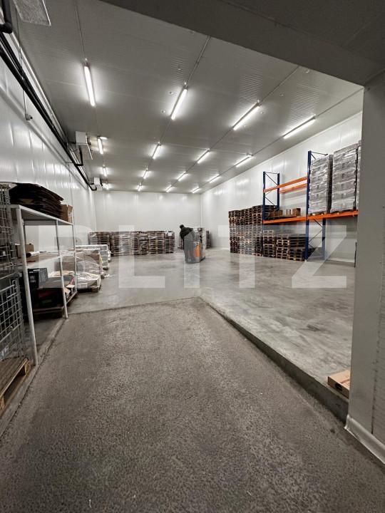 Spațiu industrial de vânzare Nufarul - 140927SVI | BLITZ Oradea | Poza9