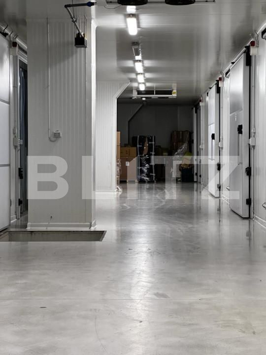 Spațiu industrial de vânzare Nufarul - 140927SVI | BLITZ Oradea | Poza16