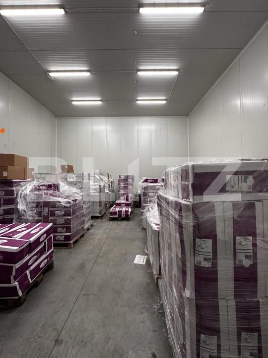 Spațiu industrial de vânzare Nufarul - 140927SVI | BLITZ Oradea | Poza18