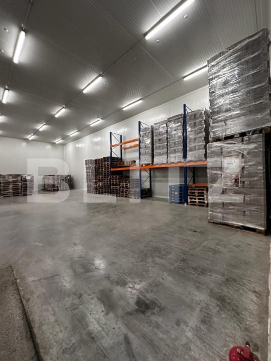 Spațiu industrial de vânzare Nufarul - 140927SVI | BLITZ Oradea | Poza5