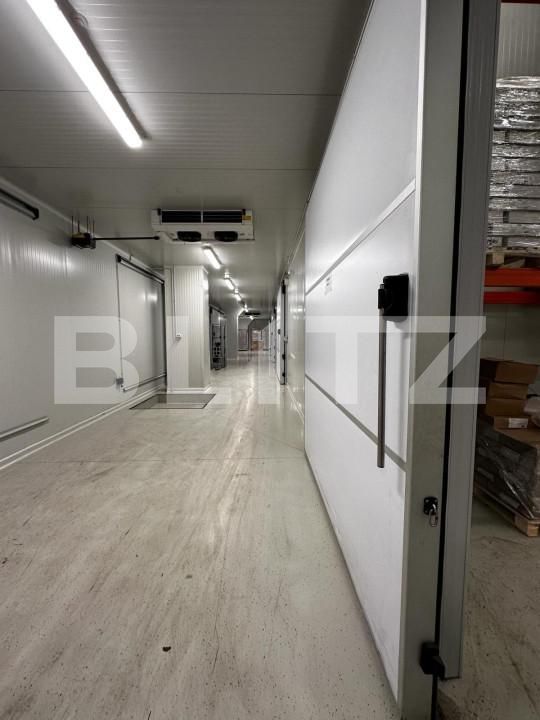 Spațiu industrial de vânzare Nufarul - 140927SVI | BLITZ Oradea | Poza13