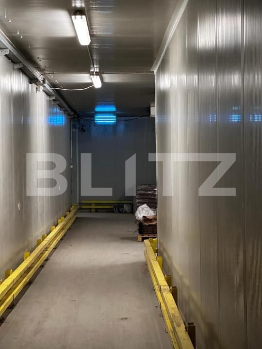 Spațiu industrial de vânzare Nufarul - 140927SVI | BLITZ Oradea | Poza3