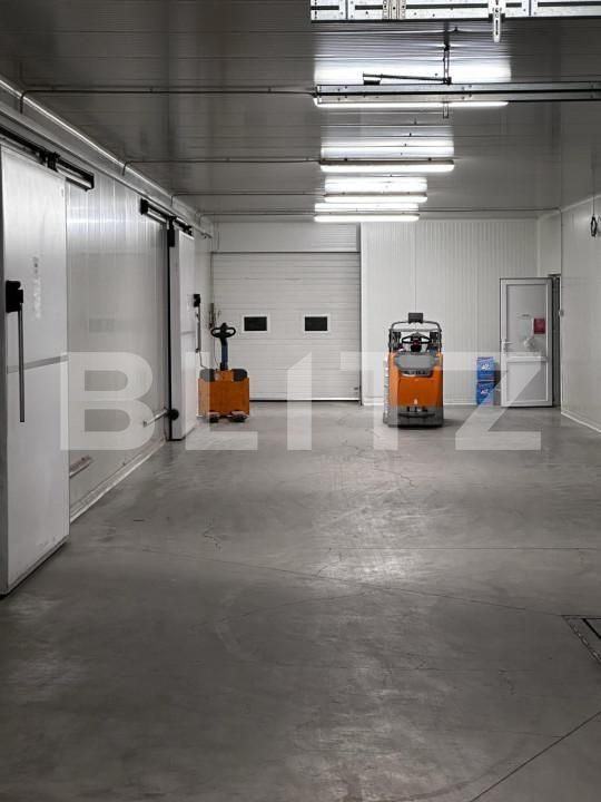 Spațiu industrial de vânzare Nufarul - 140927SVI | BLITZ Oradea | Poza4