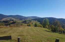 Super Oferta 5.2 euro/mp. Teren de vanzare in zona Arieseni 