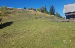 Super Oferta 5.2 euro/mp. Teren de vanzare in zona Arieseni 