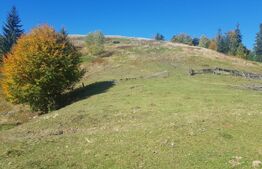 Super Oferta 5.2 euro/mp. Teren de vanzare in zona Arieseni 