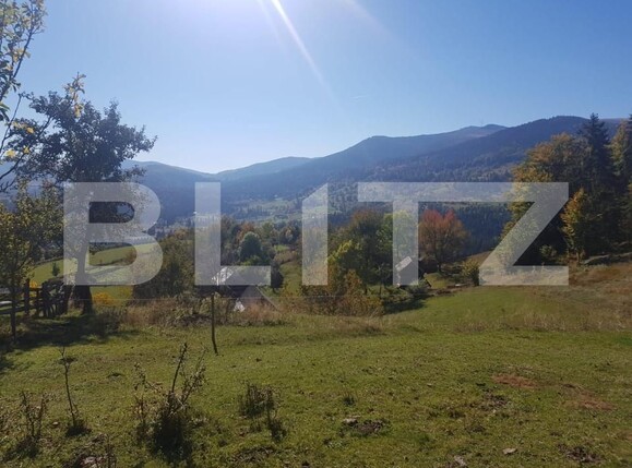 Teren de vânzare Vest - 141638TV | BLITZ Oradea | Poza2