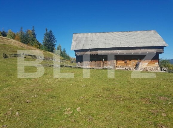 Teren de vânzare Vest - 141638TV | BLITZ Oradea | Poza8