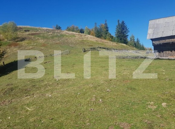 Teren de vânzare Vest - 141638TV | BLITZ Oradea | Poza5