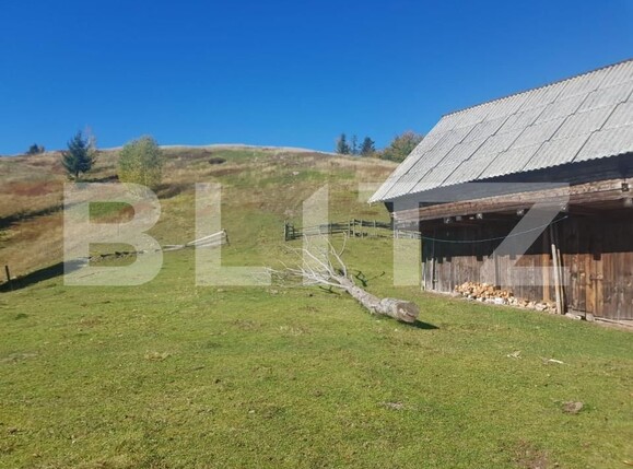 Teren de vânzare Vest - 141638TV | BLITZ Oradea | Poza12