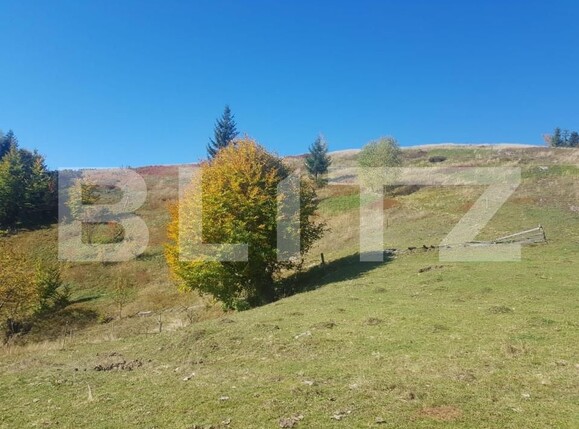 Teren de vânzare Vest - 141638TV | BLITZ Oradea | Poza3