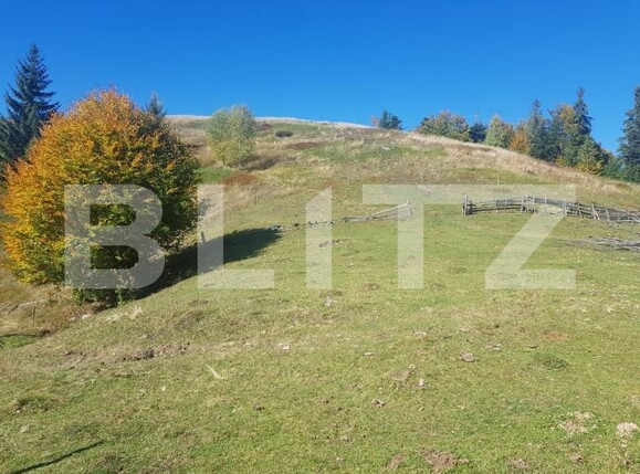 Teren de vânzare Vest - 141638TV | BLITZ Oradea | Poza4