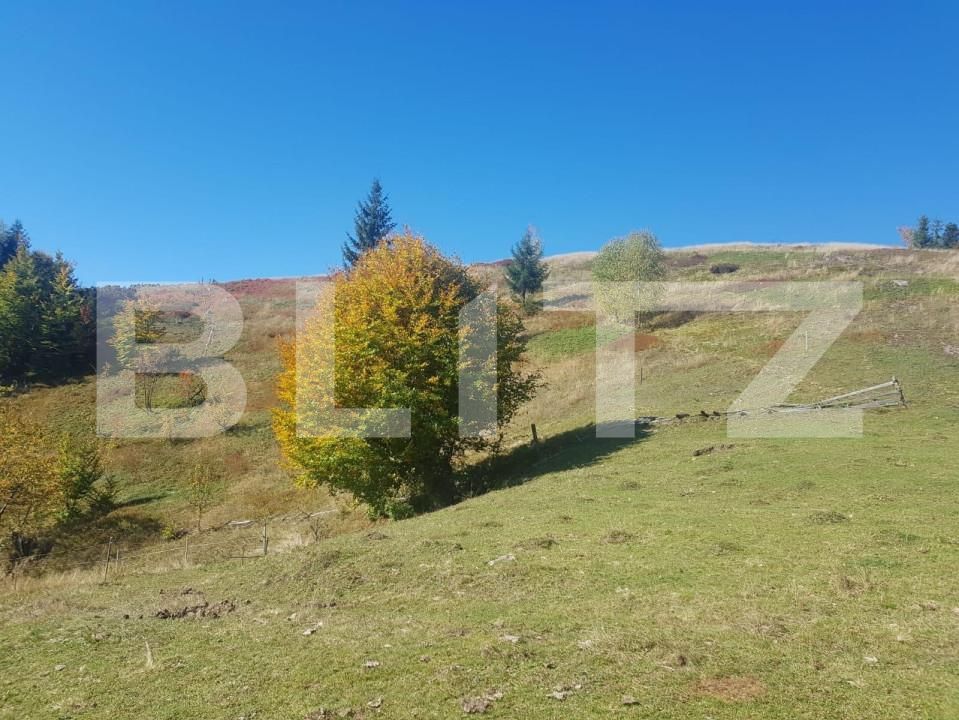 Teren de vânzare Vest - 141638TV | BLITZ Oradea | Poza3