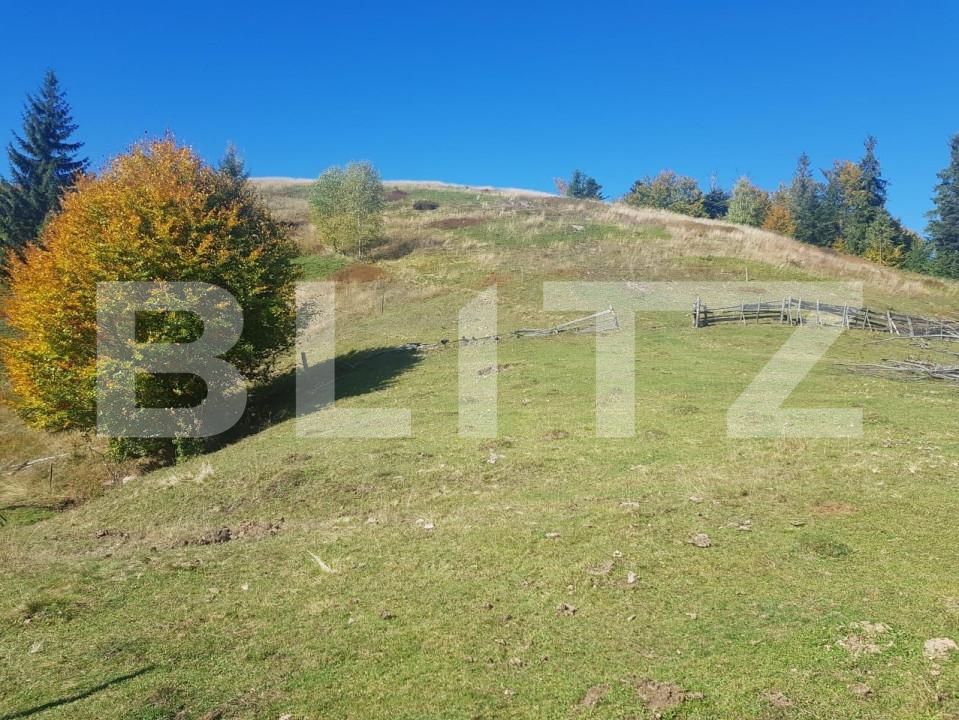 Teren de vânzare Vest - 141638TV | BLITZ Oradea | Poza4