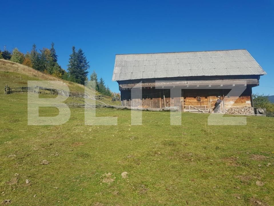 Teren de vânzare Vest - 141638TV | BLITZ Oradea | Poza8