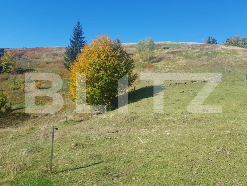 Teren de vânzare Vest - 141638TV | BLITZ Oradea | Poza6