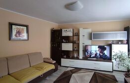 Casa zona Cetatii 2 camere, 100 mp utili, teren 200 mp și terasa, 