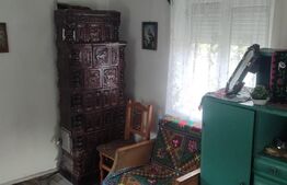 Casa de vanzare la 33 de km distanta de Oradea, amplasata pe un teren de 3000 mp