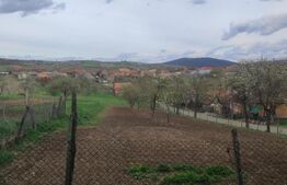 Casa de vanzare la 33 de km distanta de Oradea, amplasata pe un teren de 3000 mp