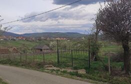 Casa de vanzare la 33 de km distanta de Oradea, amplasata pe un teren de 3000 mp