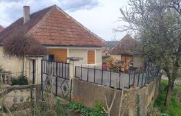 Casa de vanzare la 33 de km distanta de Oradea, amplasata pe un teren de 3000 mp