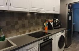 Casă individuală, 110 mp utili, 487 mp teren, zona Ioșia!