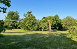 Casa DE VANZARE, 4 camere, 280mp utili, zona Iorga